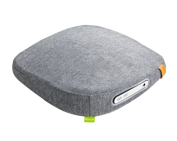 fujiiryoki FGB 10 Speaker Cushion Massager